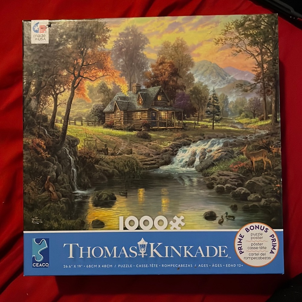 1000 piece puzzle